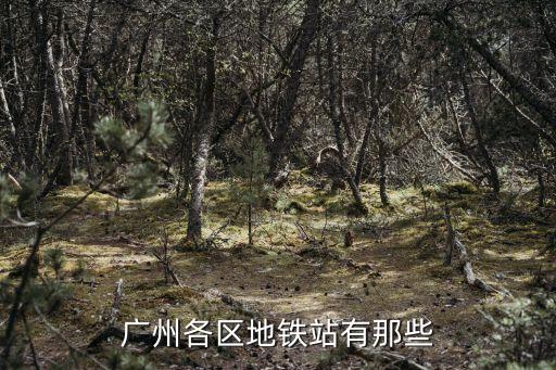 廣州地鐵開通后的站點(diǎn)，廣州地鐵一 共有多少個(gè)站哪個(gè)站出去最好玩