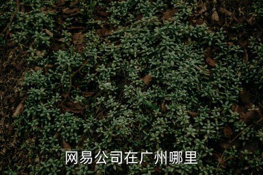 網易公司在廣州哪里