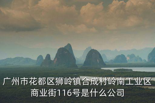 廣州市花都區獅嶺鎮合成村嶺南工業區商業街116號是什么公司