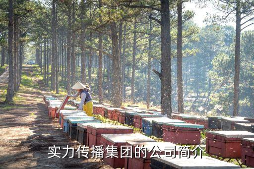 廣州實力傳播加班，實力傳播集團的公司簡介