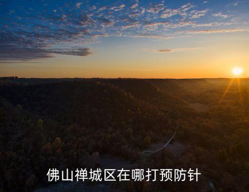 廣州佛山疫苗，在廣州出生的外地嬰兒能在佛山打預防針嗎
