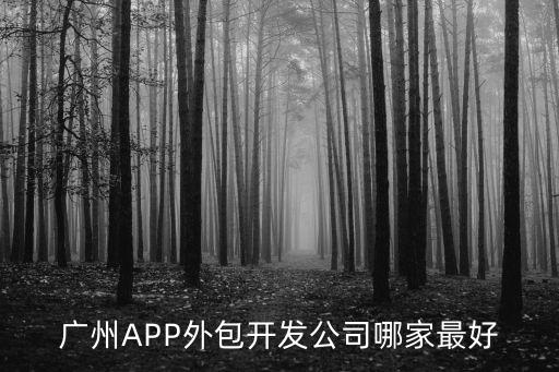 廣州APP外包開發公司哪家最好