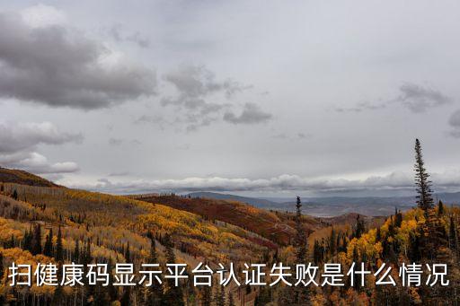 廣州健康通認證失敗，身份證什么事都能做 就是打健康卡實名認證不了