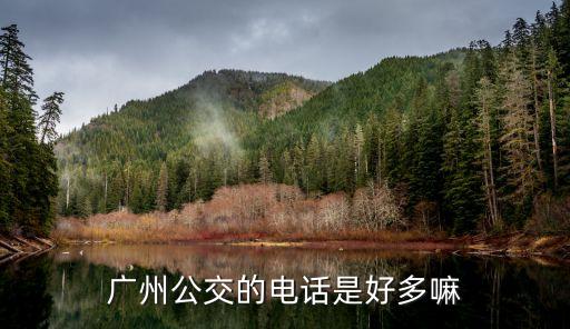 廣州公交的電話是好多嘛