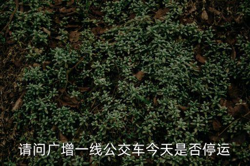 廣州今天有公交車停運嗎，今天廣州7路公交車停運嗎