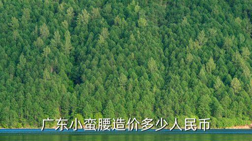 廣東小蠻腰造價(jià)多少人民幣