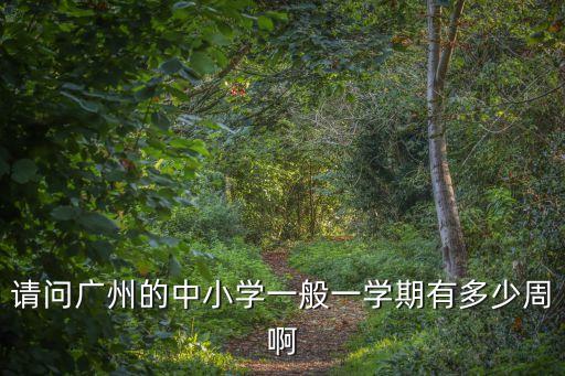 請(qǐng)問(wèn)廣州的中小學(xué)一般一學(xué)期有多少周啊