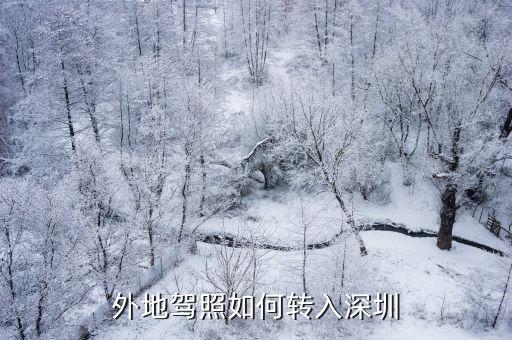 外地駕照如何轉(zhuǎn)入深圳