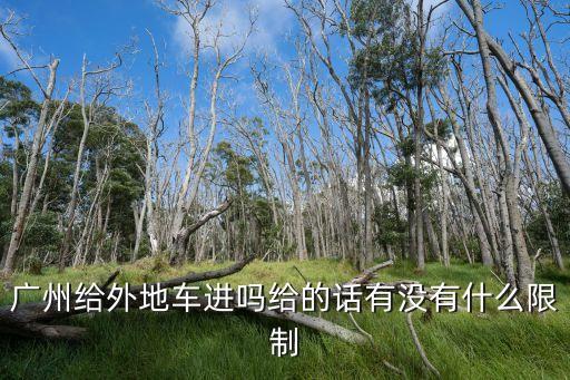 外地車進廣州開車規定，外地車進廣州有什么限制