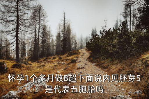 懷孕1個多月做B超下面說內見胚芽5是代表五胞胎嗎