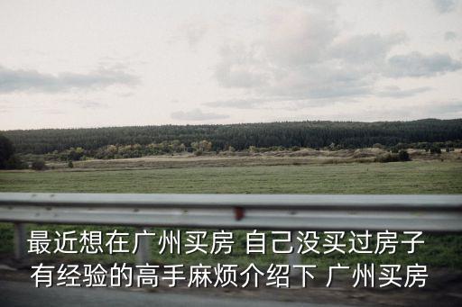 最近想在廣州買房 自己沒買過房子 有經驗的高手麻煩介紹下 廣州買房