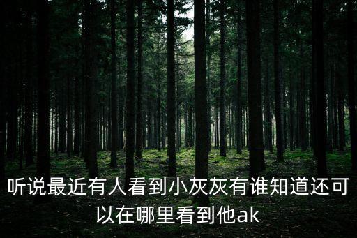 聽說最近有人看到小灰灰有誰知道還可以在哪里看到他ak