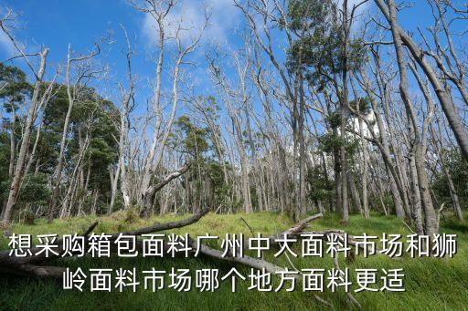 廣州中大布匹市場面和，想采購箱包面料廣州中大面料市場和獅嶺面料市場哪個地方面料更適