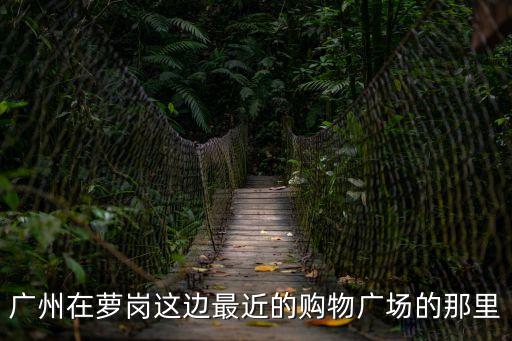 廣州市黃埔區南崗小學特色，廣州在蘿崗這邊最近的購物廣場的那里