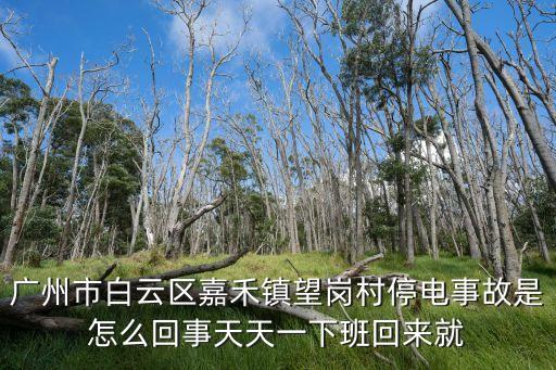 廣州市白云區嘉禾鎮望崗村停電事故是怎么回事天天一下班回來就