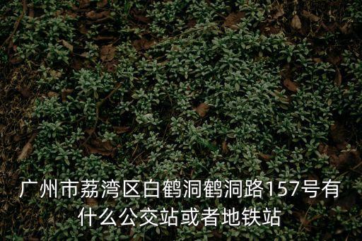 廣州市荔灣區白鶴洞鶴洞路157號有什么公交站或者地鐵站