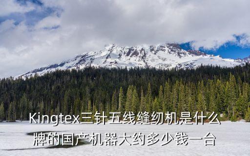 Kingtex三針五線縫紉機是什么牌的國產機器大約多少錢一臺