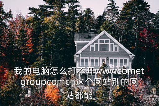 我的電腦怎么打不開wwwcometgroupcomcn這個網站別的網站都能