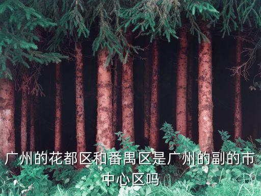 廣州花都屬于重點地區嗎，廣州的花都區和番禺區是廣州的副的市中心區嗎