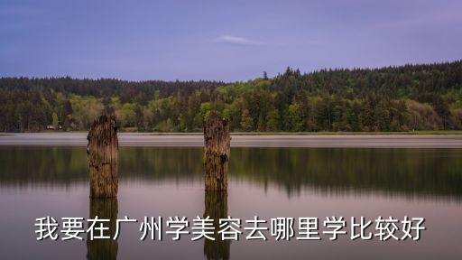 我要在廣州學美容去哪里學比較好