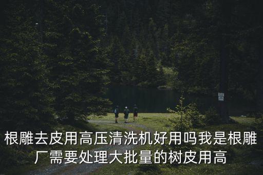 根雕去皮用高壓清洗機好用嗎我是根雕廠需要處理大批量的樹皮用高