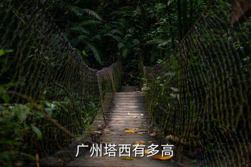廣州塔西有多高
