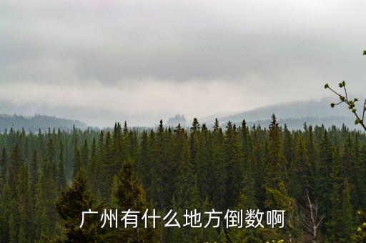 廣州有什么地方倒數(shù)啊