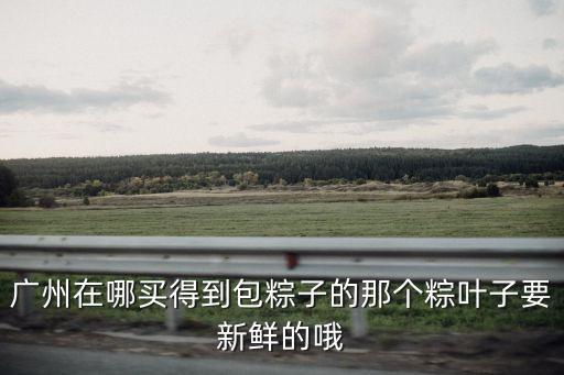 廣州哪里可以摘新鮮粽葉，粽葉在哪里可以采到