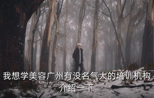 我想學美容廣州有沒名氣大的培訓機構介紹一下