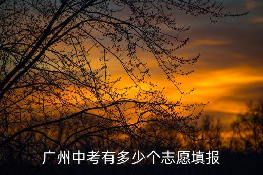 廣州中考一共有幾個批次，廣州中考志愿中提前批第一批第一二三志愿是什么