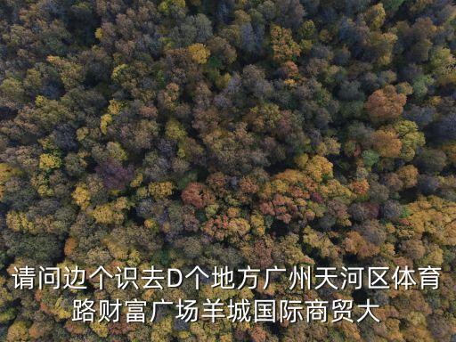 請(qǐng)問(wèn)邊個(gè)識(shí)去D個(gè)地方廣州天河區(qū)體育路財(cái)富廣場(chǎng)羊城國(guó)際商貿(mào)大