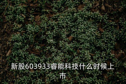 新股603933睿能科技什么時候上市