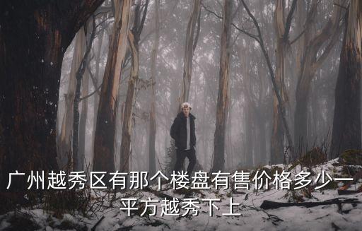 廣州越秀區有那個樓盤有售價格多少一平方越秀下上