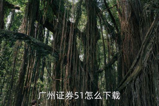 廣州證券順，廣州證券手機版無法應用