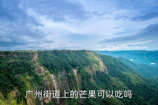 廣州路邊樹芒果可以吃嗎，廣州路邊的芒果可以吃嘛