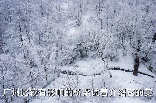 廣州的高架橋圖片，廣州比較有影響的橋梁試著介紹它的美
