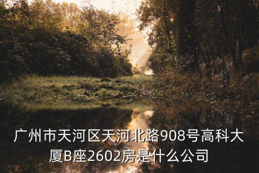 廣州市天河區天河北路908號高科大廈B座2602房是什么公司