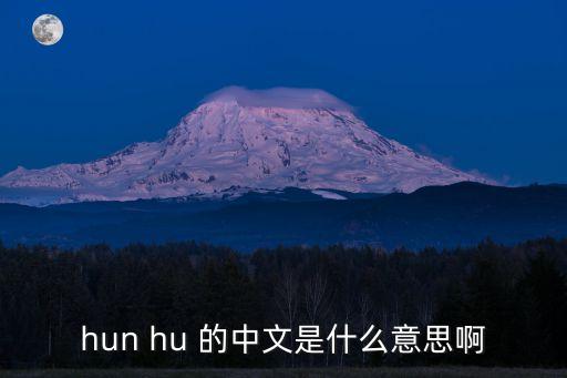 hun hu 的中文是什么意思啊