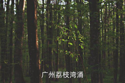 廣州荔枝灣涌