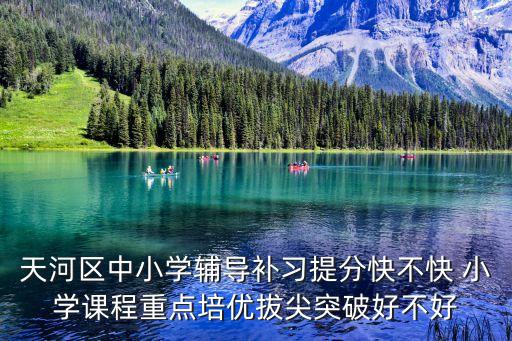 天河區(qū)中小學(xué)輔導(dǎo)補習(xí)提分快不快 小學(xué)課程重點培優(yōu)拔尖突破好不好