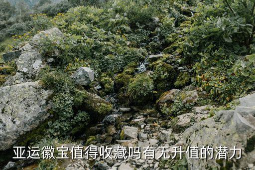 廣州亞運開幕紀念封有收藏價值嗎，亞運徽寶值得收藏嗎有無升值的潛力