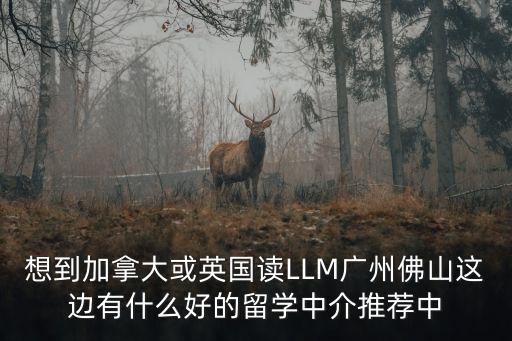 想到加拿大或英國讀LLM廣州佛山這邊有什么好的留學中介推薦中