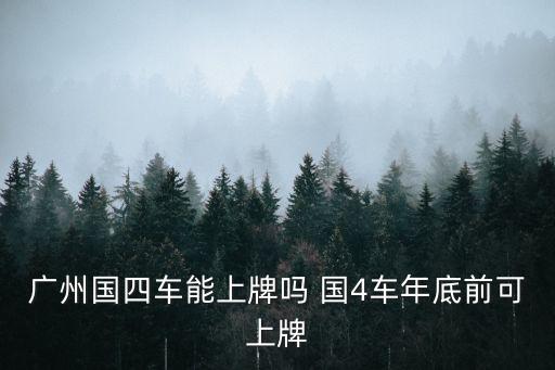 廣州國四車能上牌嗎 國4車年底前可上牌
