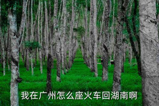 我在廣州怎么座火車回湖南啊