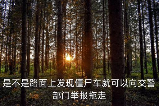 舉報(bào)僵尸車電話廣州，廣州報(bào)廢車舉報(bào)找那個(gè)部門那個(gè)電話