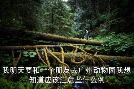 我明天要和一個(gè)朋友去廣州動(dòng)物園我想知道應(yīng)該注意些什么例