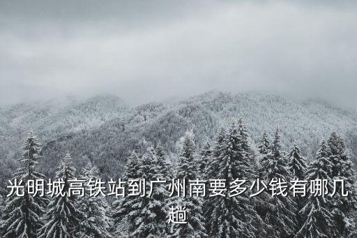 光明城高鐵站到廣州南要多少錢有哪幾趟