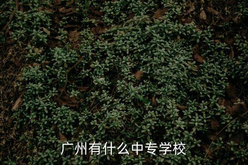 廣州中專有沒有分數線是200，廣州市那些職中是可以收200分以上的