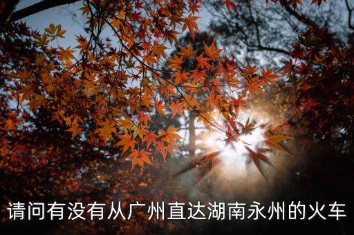 從廣州能坐火車回湖南嗎，我在廣州怎么座火車回湖南啊