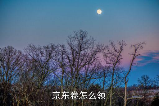 京東廣州消費券領取方法，怎么在網上獲取到京東優惠券知道的說下